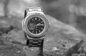 Black Silver