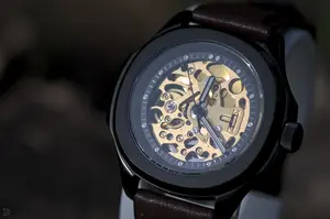 Seiknaut dark/gold