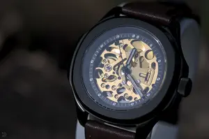 Seiknaut dark/gold